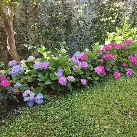 Il Dondolo Blu Floransa