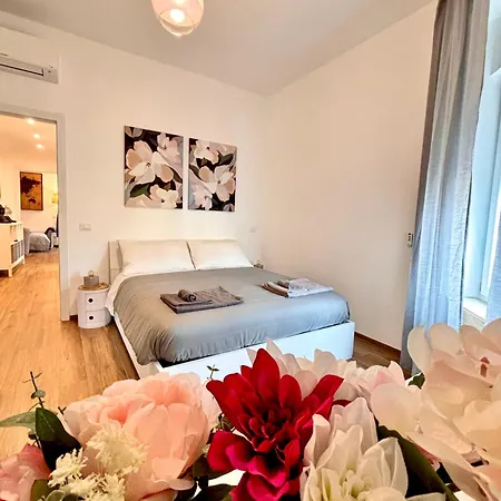 Modern Renovated Near Center & Transit Florencia
