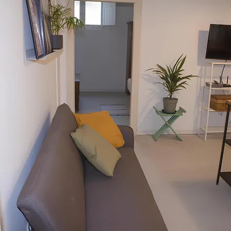 Zanardelli Bright Flat Apartment Florenz