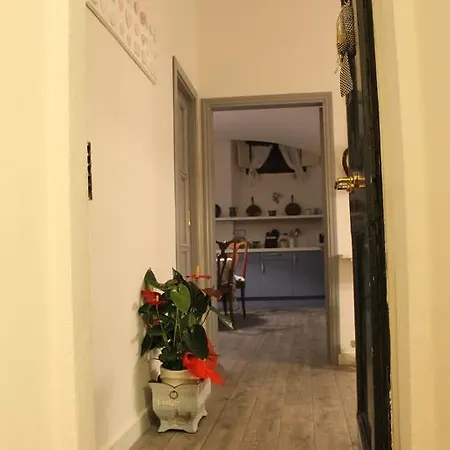 Emily's Guest house