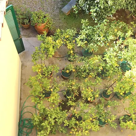 Casa Per Ferie Regina Santo Rosario Bed & Breakfast Firenze