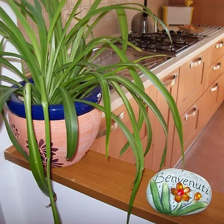 Apartament Casa Mia *
