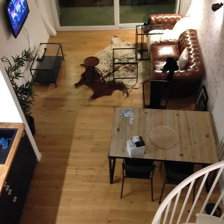 Apartment Industia Loft *