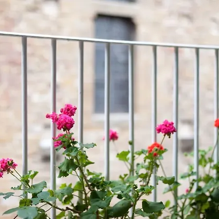La Volognana *