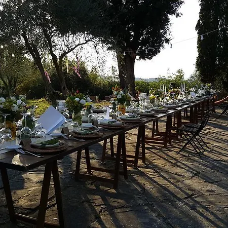 Ulivello Florens
