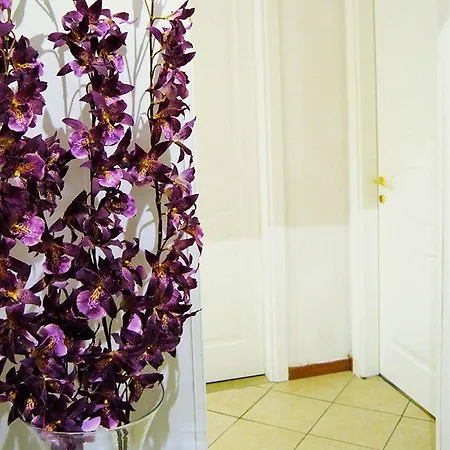 Guest house Adelaide House 2*
