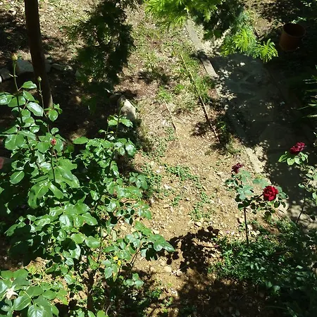 La Nei Fiori