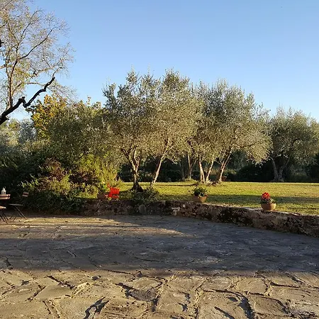 Lantställe Ulivello Florens