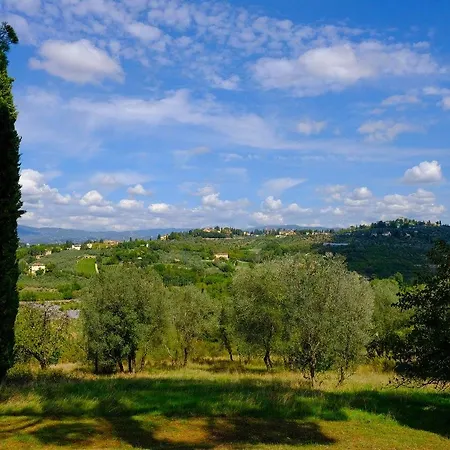 Ulivello * Florens