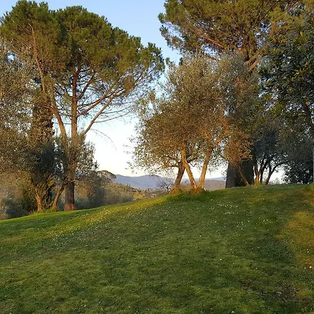 Lantställe Ulivello Florens
