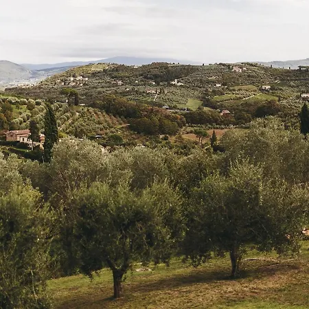 Ulivello Florens