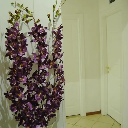 Adelaide House Guest house 2*