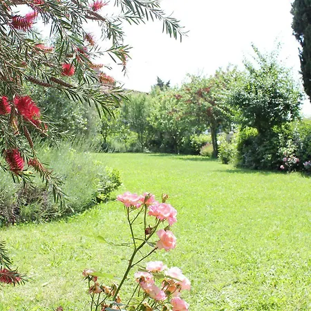 La Stella