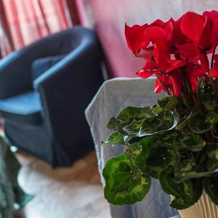 Bed & Breakfast Fortezza Fiorentina