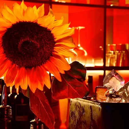 Eurhotel 3* Florence