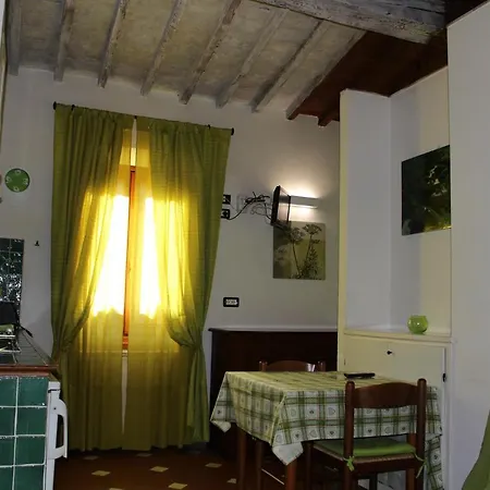 Gmax Guelfa * Firenze