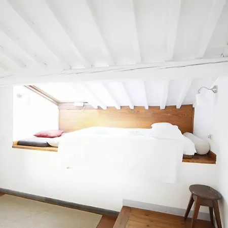 Apartment Under The Dome