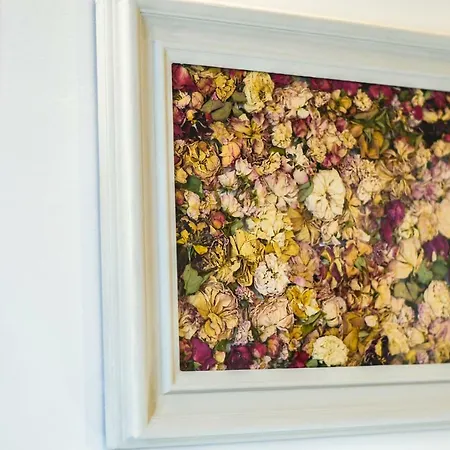 Oltrarno's Sweet Rose - Free Parking! Apartment