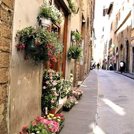 Apartment Historic Center! Charming Traditional Florentine Building - Ac,wifi - By Likehomeflorence *