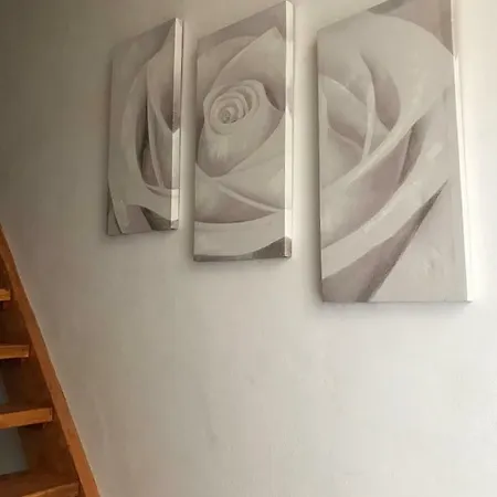 Apartment Il Nido - Cozy In Santa Croce