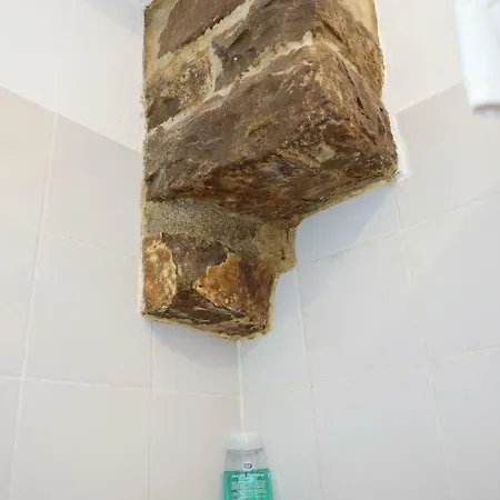 Apartment Nerii 3 *