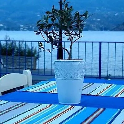Bed and breakfast Convitto Della Calza - Casa Per Ferie Florencia